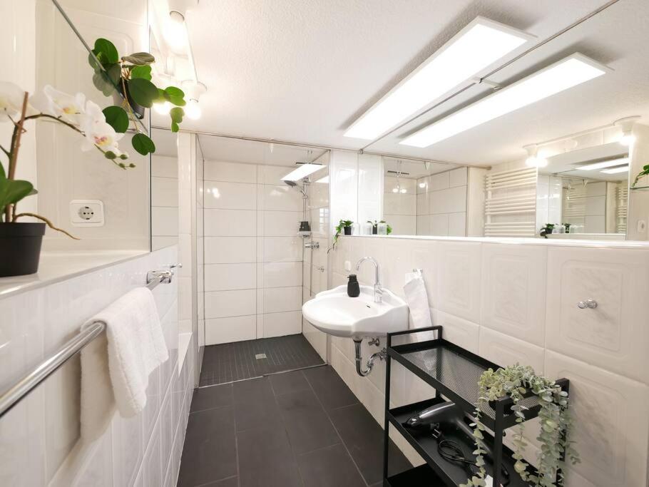 Apartmán 110 M2, Dachterrasse, Kueche, Zentral, Ruhige Lage Paderborn Exteriér fotografie
